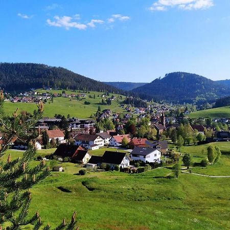 Ferienwohnung, Sauna & Gaestekarte Gratis Im Schwarzwald Байерсброн Екстериор снимка