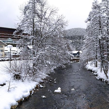 Ferienwohnung, Sauna & Gaestekarte Gratis Im Schwarzwald Байерсброн Екстериор снимка