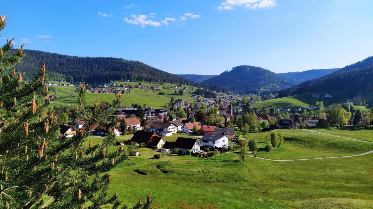 Ferienwohnung, Sauna & Gaestekarte Gratis Im Schwarzwald Байерсброн Екстериор снимка
