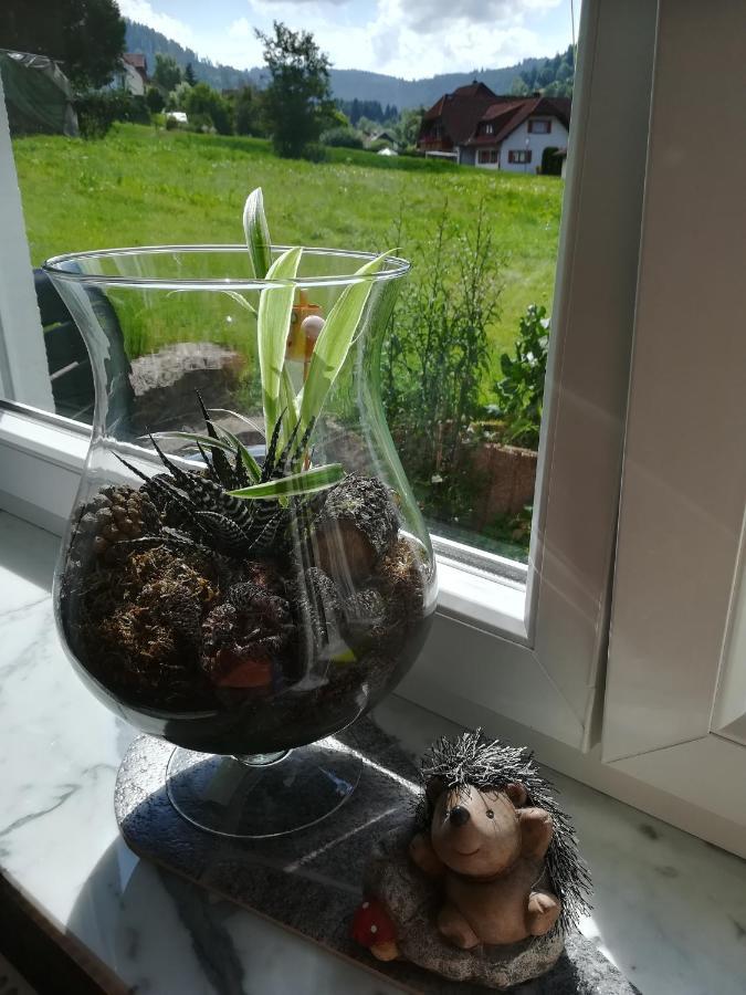 Ferienwohnung, Sauna & Gaestekarte Gratis Im Schwarzwald Байерсброн Екстериор снимка
