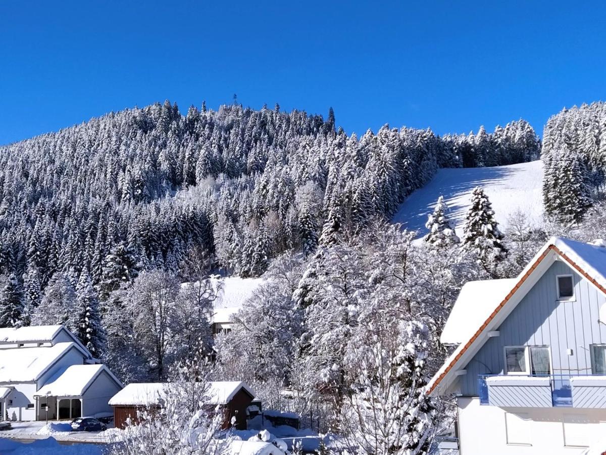 Ferienwohnung, Sauna & Gaestekarte Gratis Im Schwarzwald Байерсброн Екстериор снимка