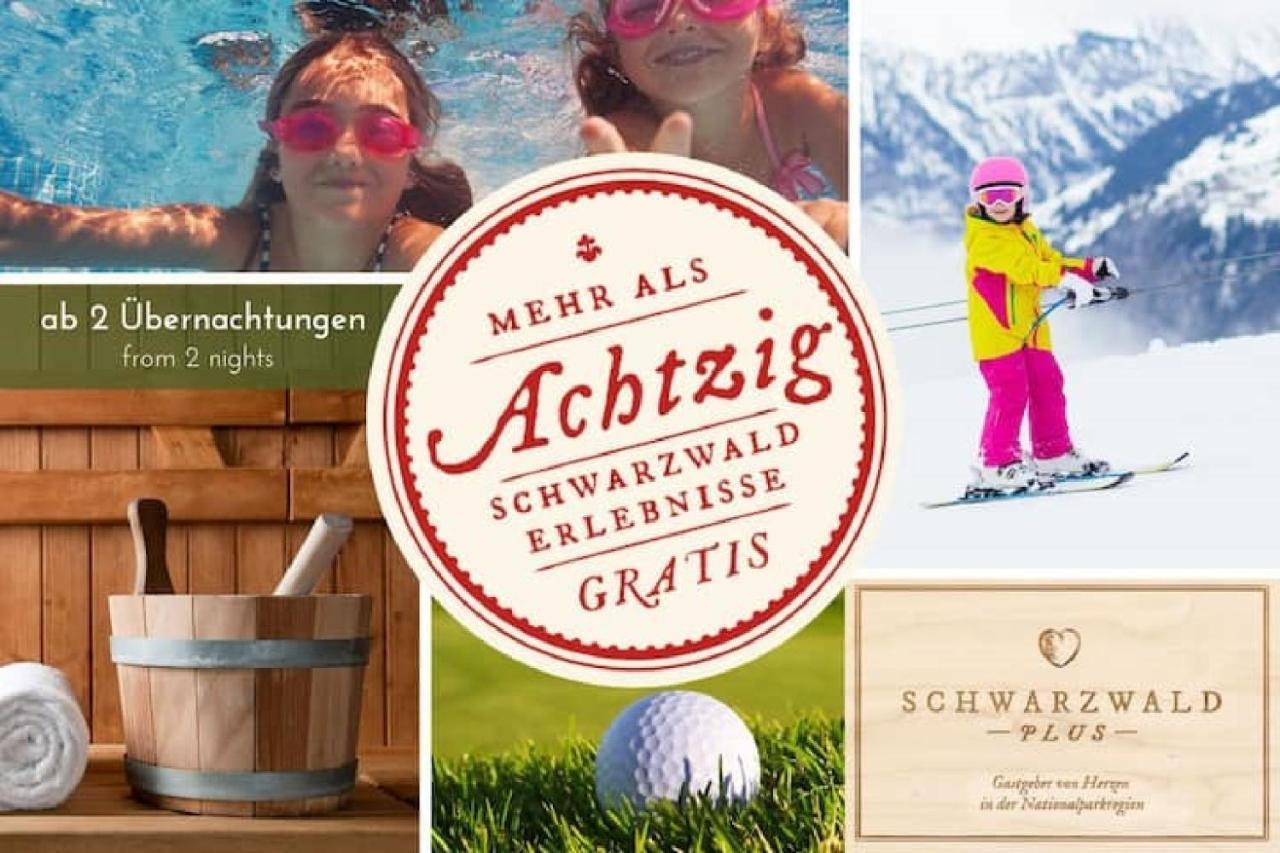 Ferienwohnung, Sauna & Gaestekarte Gratis Im Schwarzwald Байерсброн Екстериор снимка