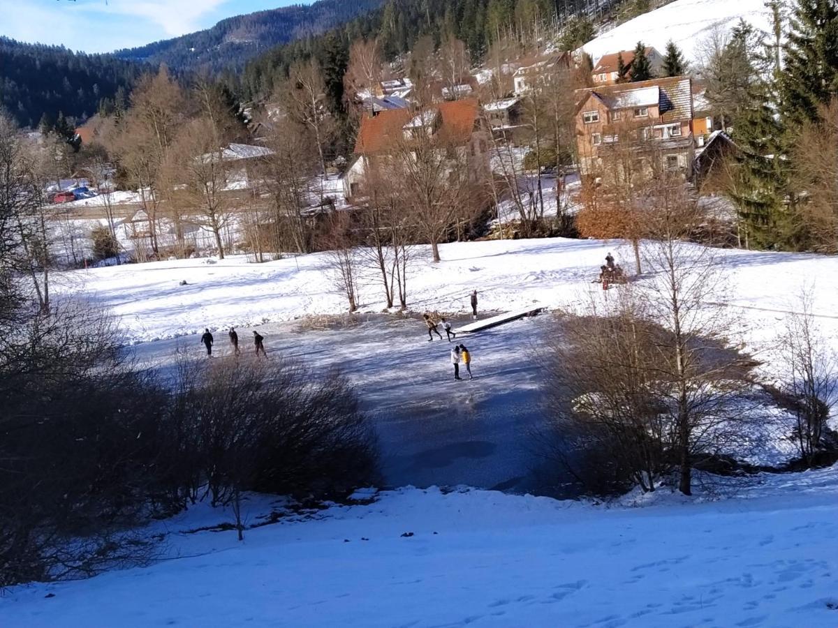 Ferienwohnung, Sauna & Gaestekarte Gratis Im Schwarzwald Байерсброн Екстериор снимка