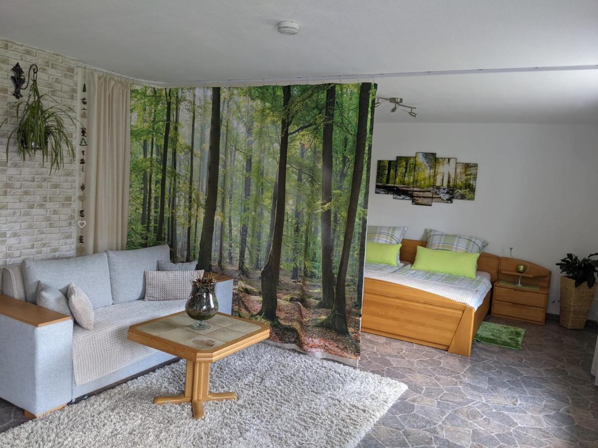 Ferienwohnung, Sauna & Gaestekarte Gratis Im Schwarzwald Байерсброн Екстериор снимка