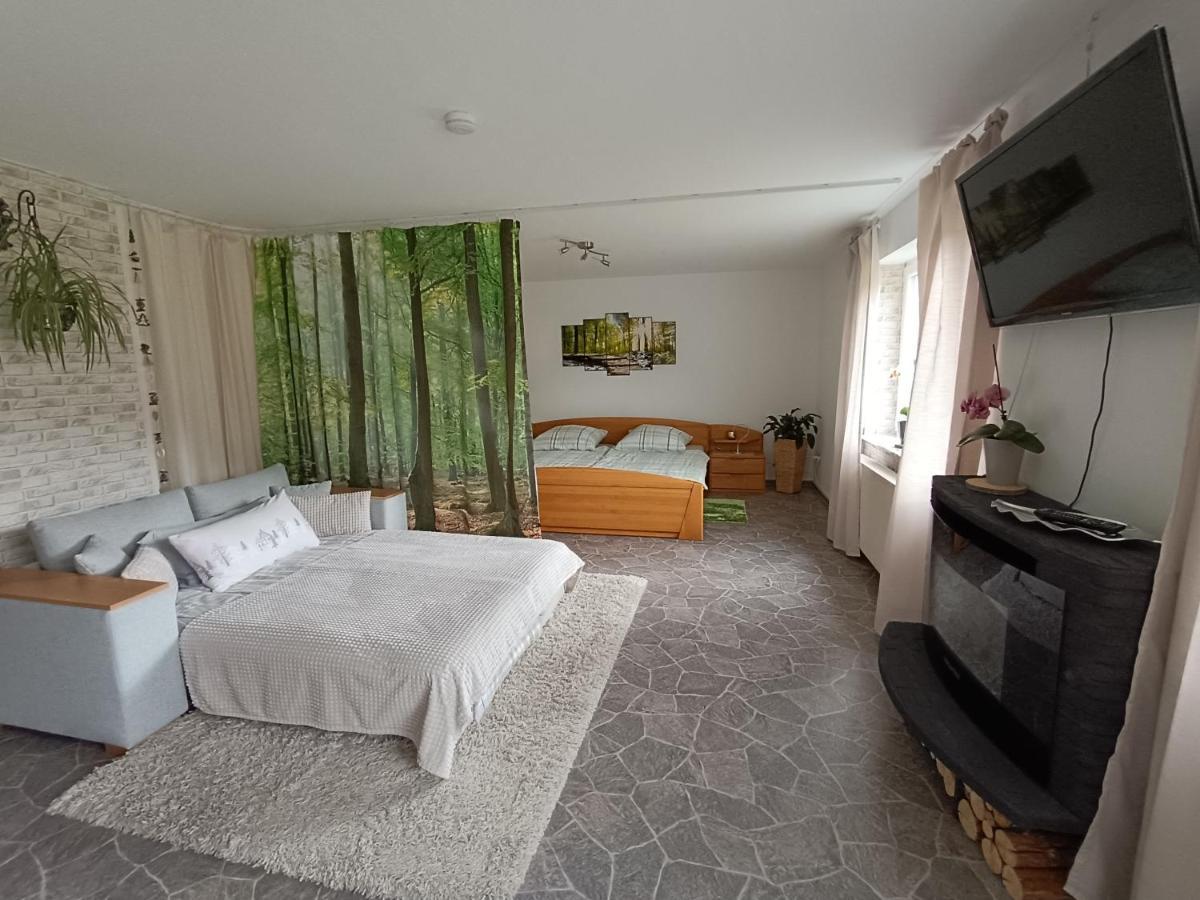Ferienwohnung, Sauna & Gaestekarte Gratis Im Schwarzwald Байерсброн Екстериор снимка