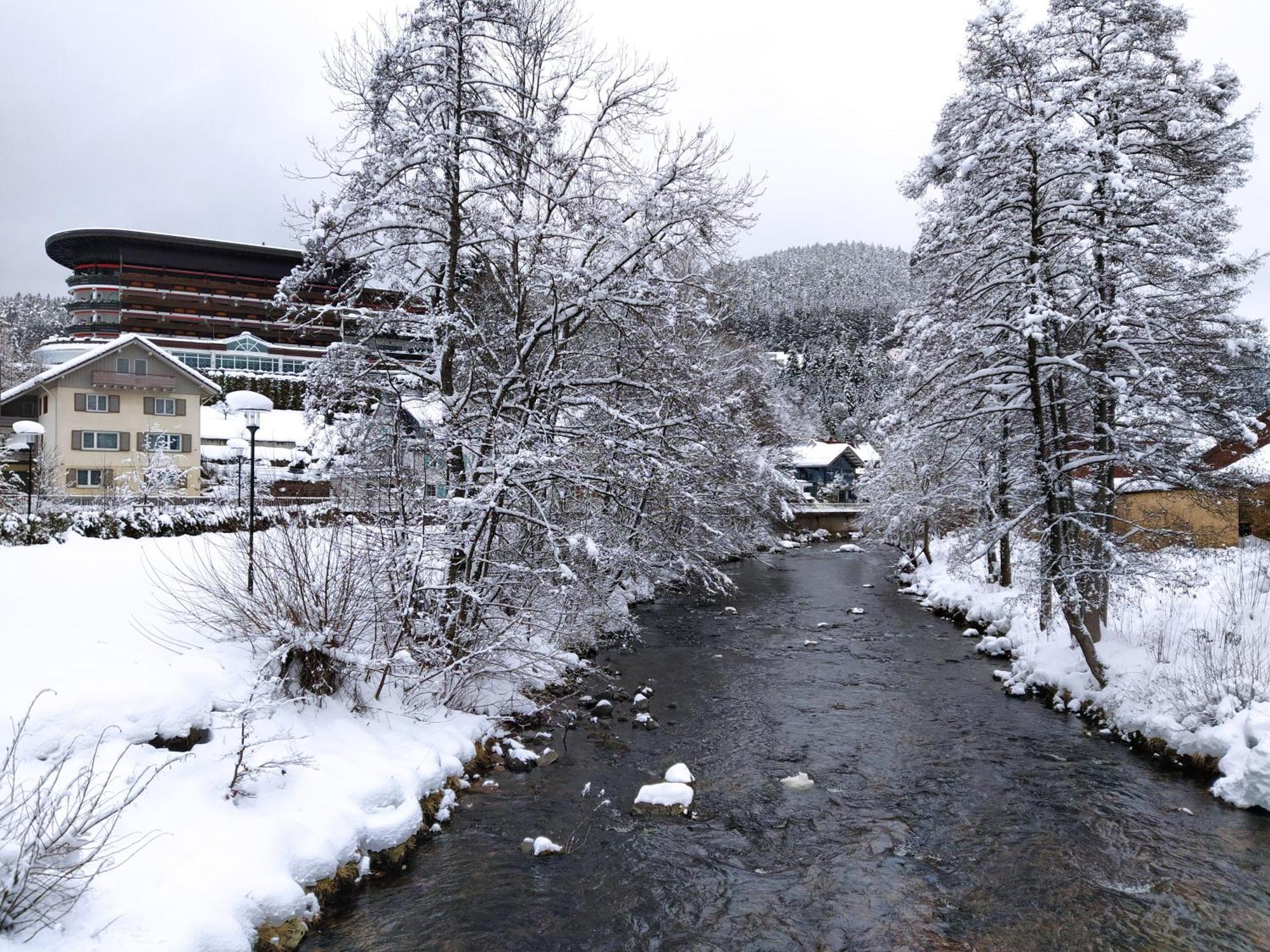Ferienwohnung, Sauna & Gaestekarte Gratis Im Schwarzwald Байерсброн Екстериор снимка